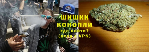 дмт Бородино