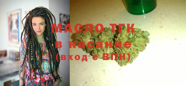 дмт Бородино