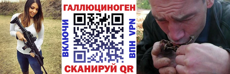 Галлюциногенные грибы MAGIC MUSHROOMS  закладка  Жердевка 